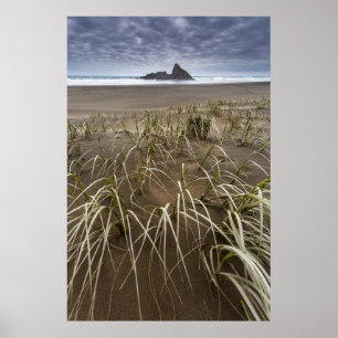 Karekare Beach   Panatahi Island, West Coast Poster