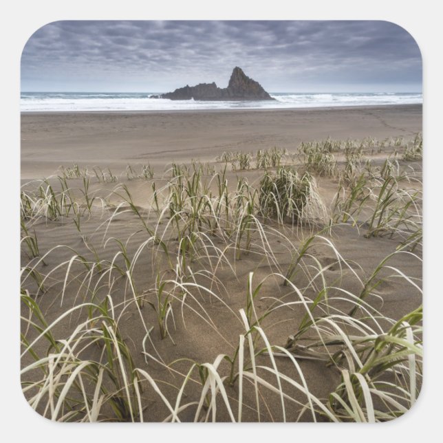 Karekare Beach | Panatahi Island, West Coast Square Sticker (Front)
