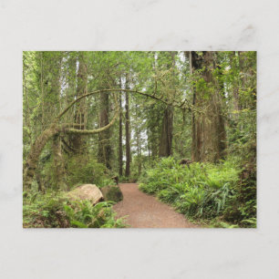 Karl Knapp Trail Postcard