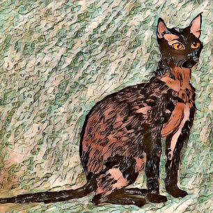 Karl The Cat 🐈 Throw Pillow