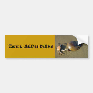 Karma dislikes bullies Bumper Sticker 7