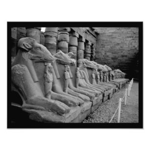 Karnak Temple Lions Photo Print
