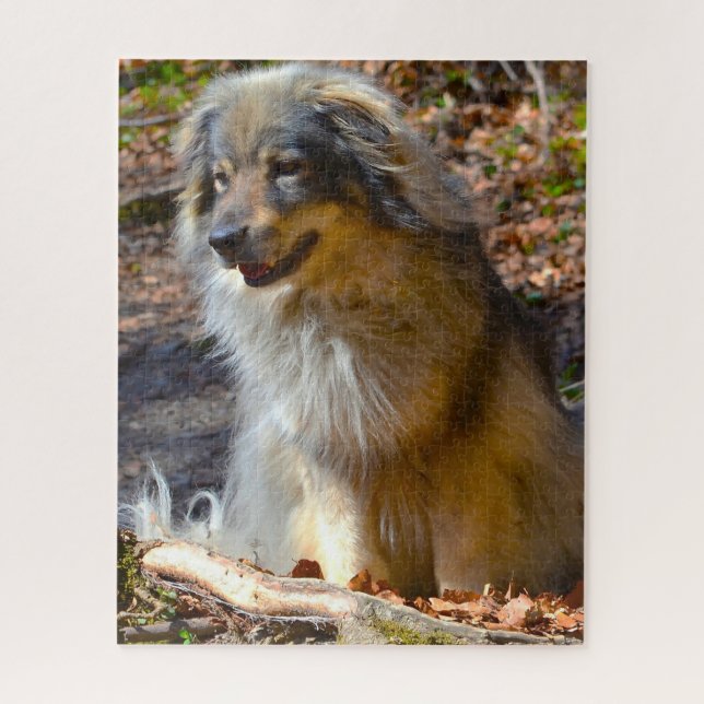 Karst Shepherd Dog. Jigsaw Puzzle (Vertical)