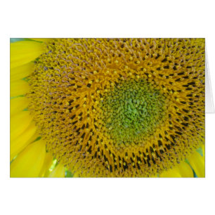 Karte Sonnenblume, blanko, gestaltbar