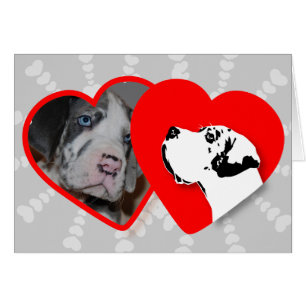 Karten für Ihre Fotos !