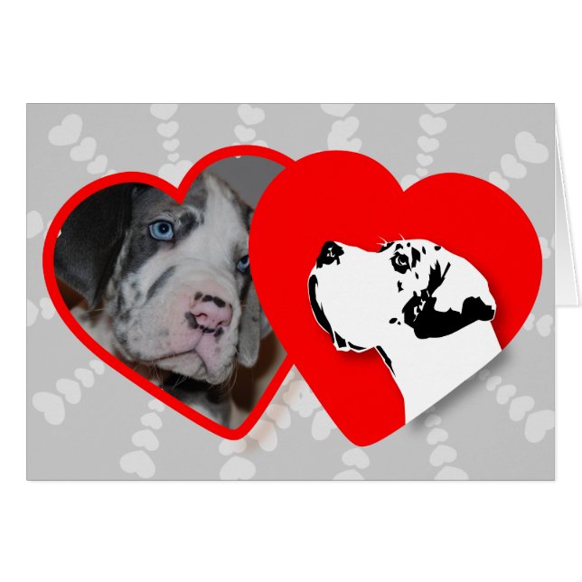 Karten für Ihre Fotos! (Front Horizontal)