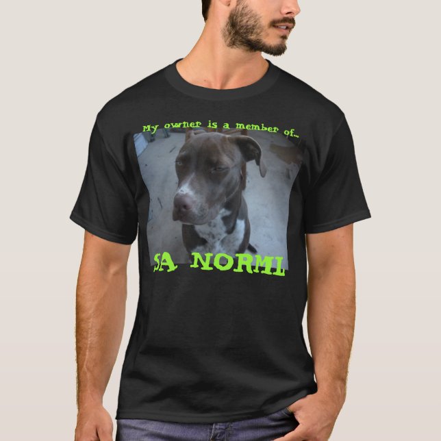 Kashmir/Norml Tee (Front)