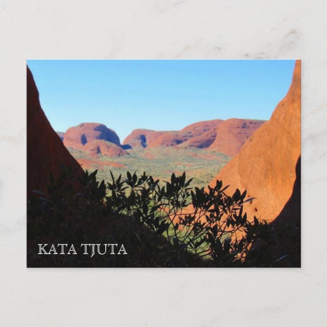 kata tjuta valley view postcard (Front)