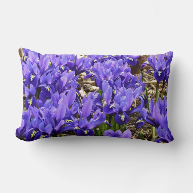 Katherine Hodgkin Irises Purple Spring Floral Lumbar Pillow (Front)