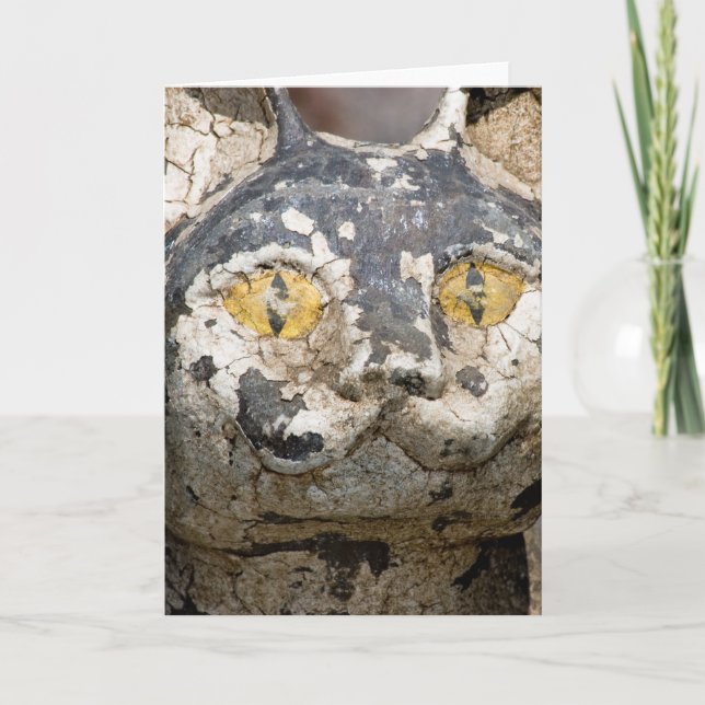 Kathe's Cat Looking At You Card (Front)