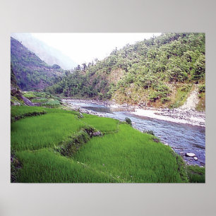 Kathmandu River Rice Terace Poster