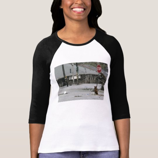katrina dog t-shirt