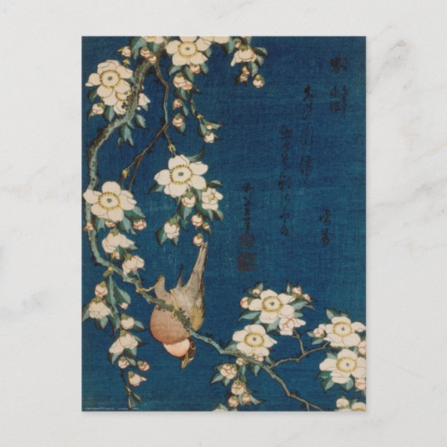 Katsushika Hokusai 葛飾 北斎 Goldfinch and Cherry Tree Postcard (Front)