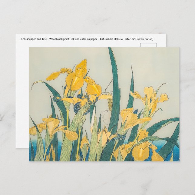 Katsushika Hokusai - Grasshopper and Iris Postcard (Front/Back)