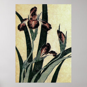 Katsushika Hokusai's Ukiyo-e Woodcut Print: Irises Poster