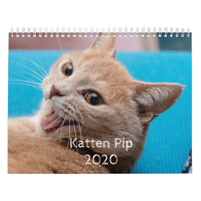 Katten Pip - Calendrier 2020 (Protection)