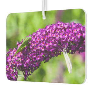 katydid energy air freshener