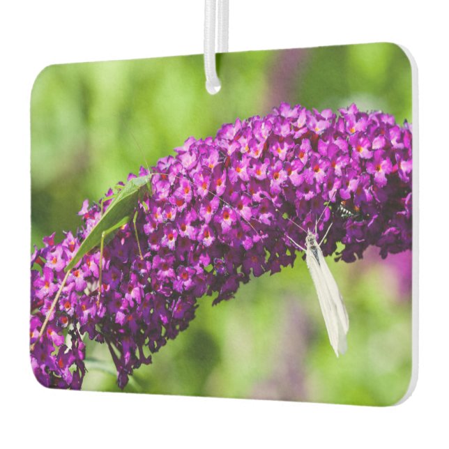 katydid energy air freshener (Left)