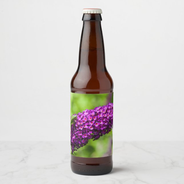 katydid energy beer bottle label (Front)