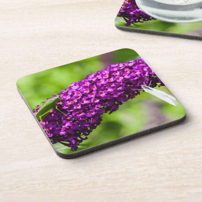 katydid energy coaster (Left Side)