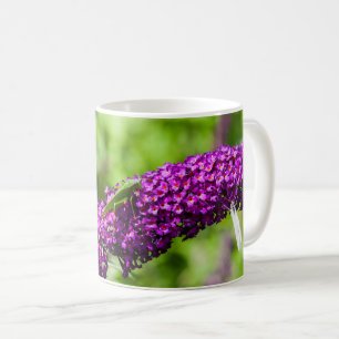 katydid energy coffee mug