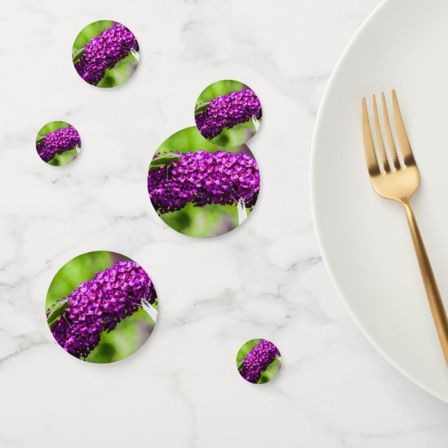 katydid energy confetti (Group)