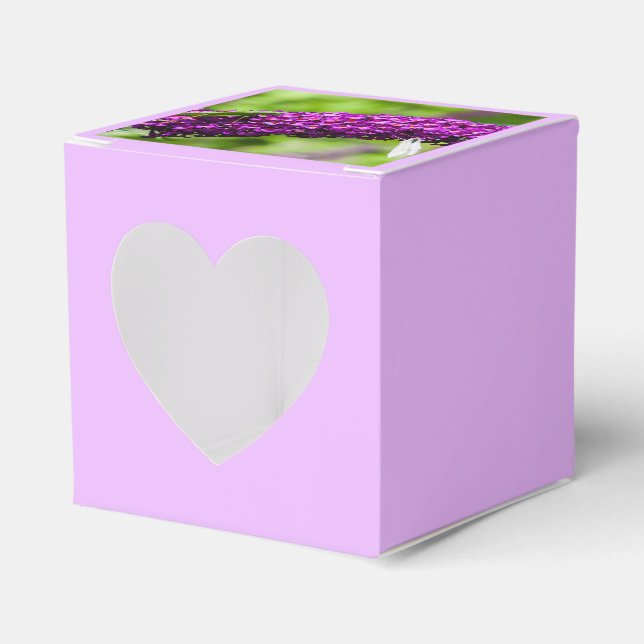katydid energy favour box (Front Side)
