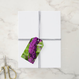 katydid energy gift tags