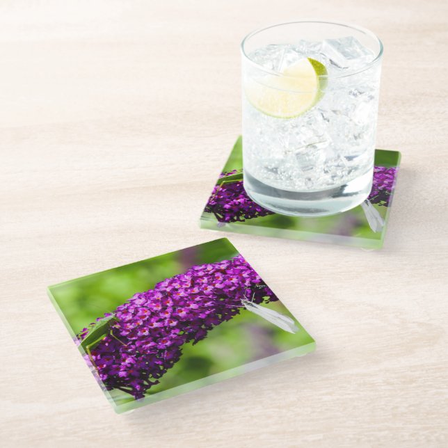 katydid energy glass coaster (Angled)