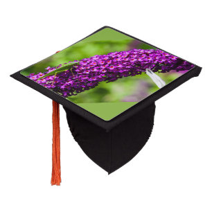 katydid energy graduation cap topper