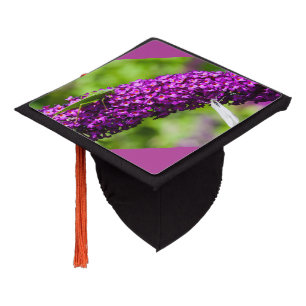 katydid energy graduation cap topper