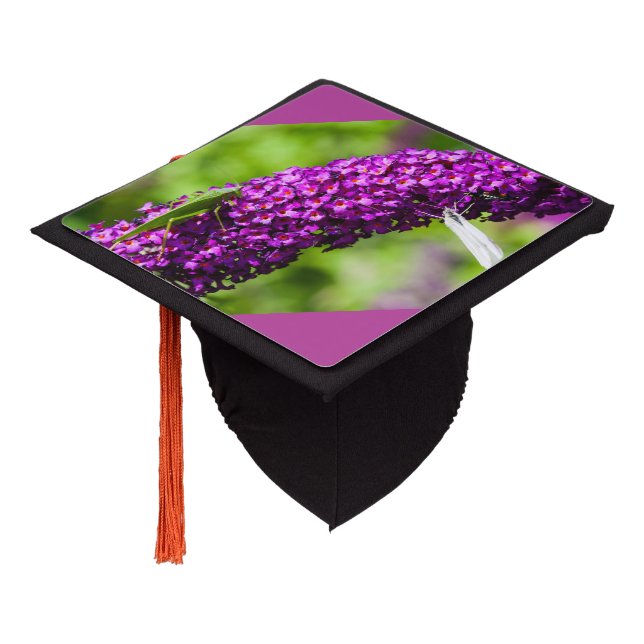 katydid energy graduation cap topper (Angled)