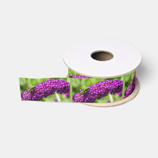 katydid energy grosgrain ribbon