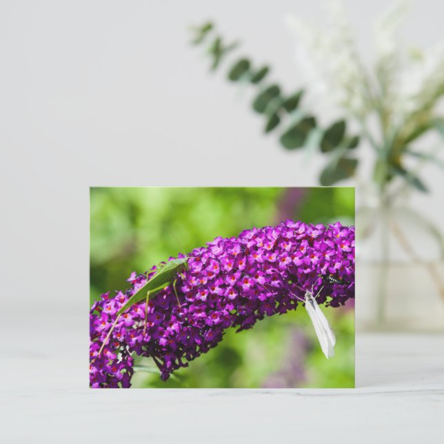 katydid energy holiday postcard (Standing Front)