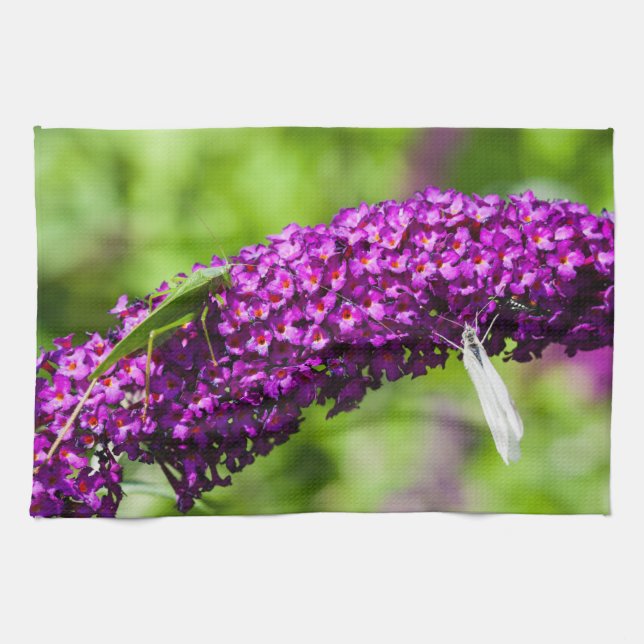 katydid energy kitchen towel (Horizontal)