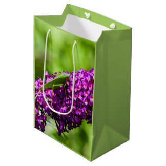 katydid energy medium gift bag