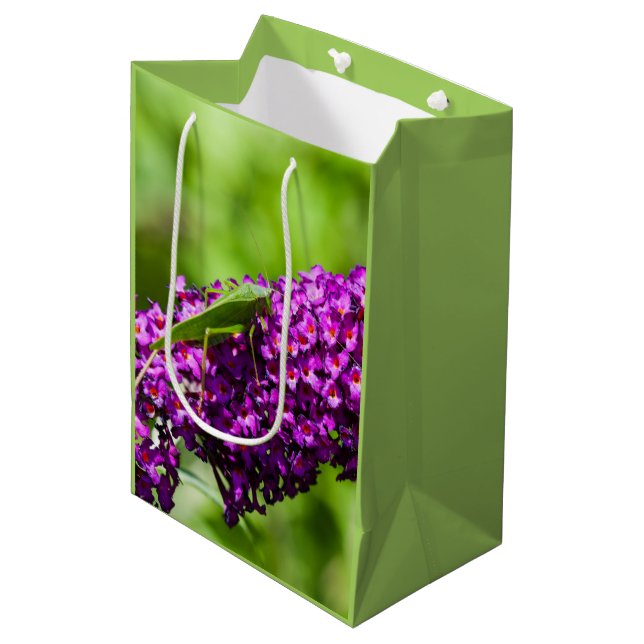katydid energy medium gift bag (Front Angled)