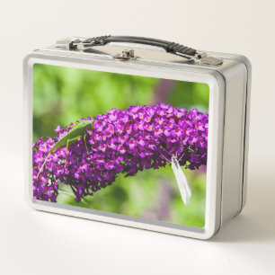 katydid energy metal lunch box
