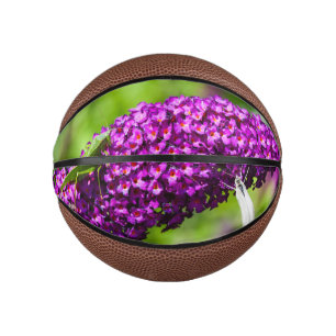 katydid energy mini basketball