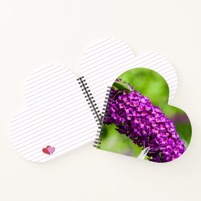 katydid energy notebook (Inside)