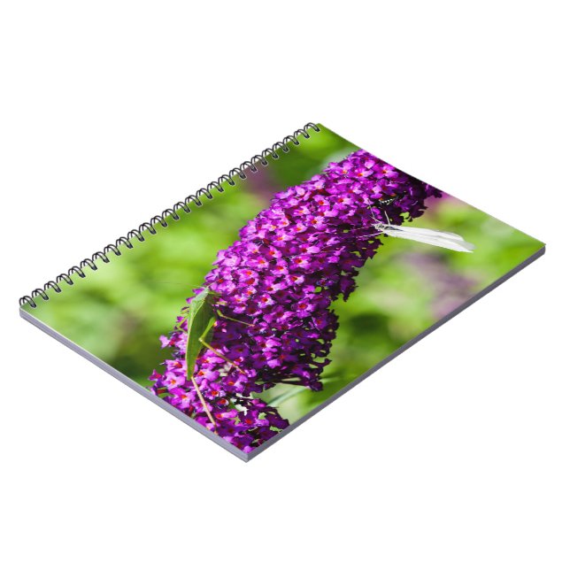 katydid energy notebook (Left Side)