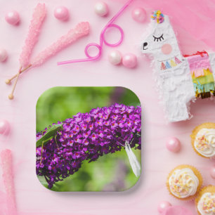 katydid energy paper plate