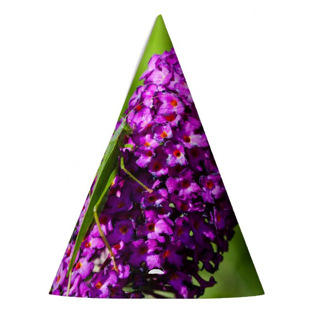 katydid energy party hat (Left)