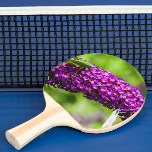 katydid energy ping pong paddle