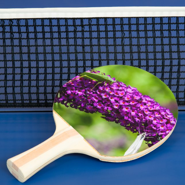 katydid energy ping pong paddle (Insitu)