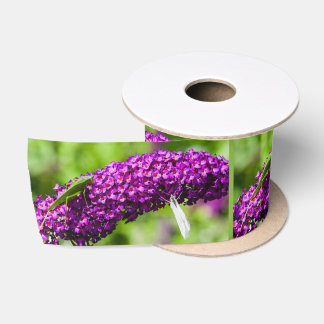 katydid energy satin ribbon