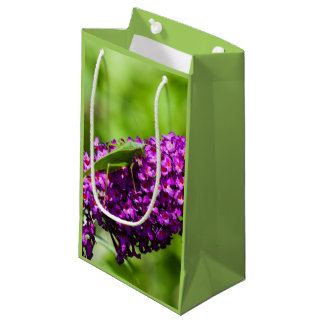 katydid energy small gift bag