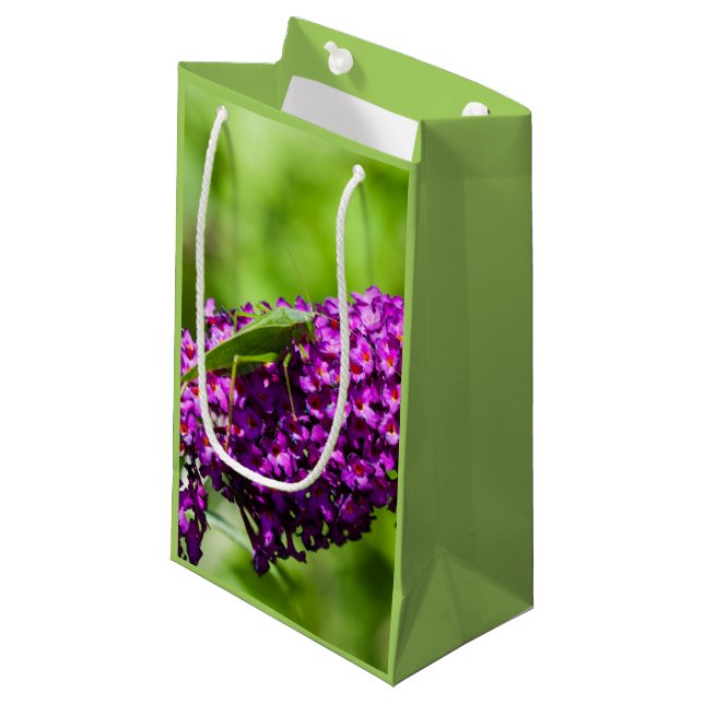 katydid energy small gift bag (Front Angled)