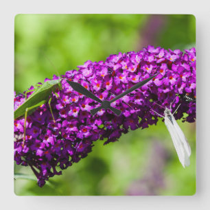 katydid energy square wall clock