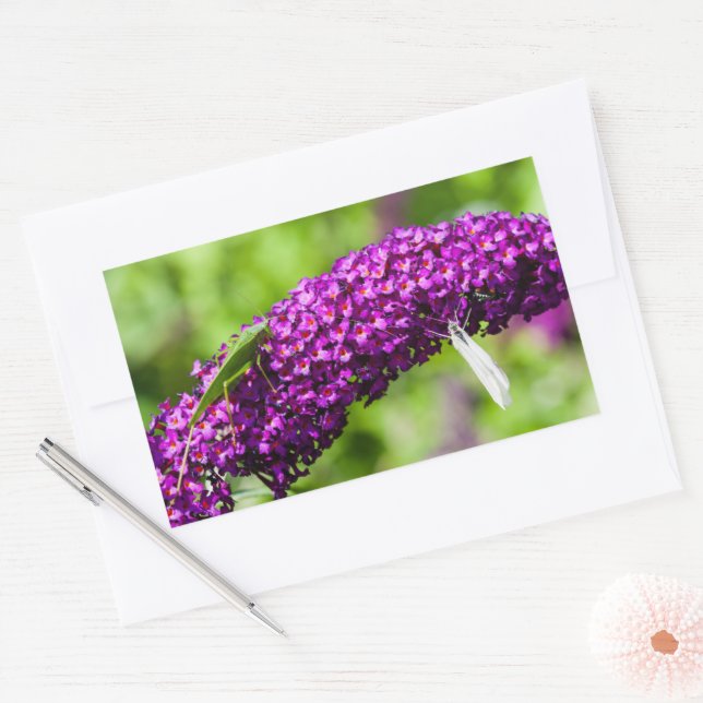 katydid energy sticker (Envelope)